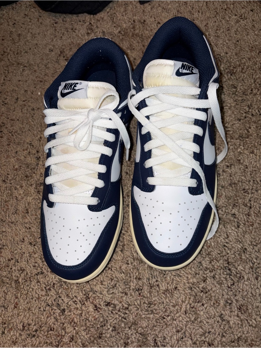 Vintage navy dunks